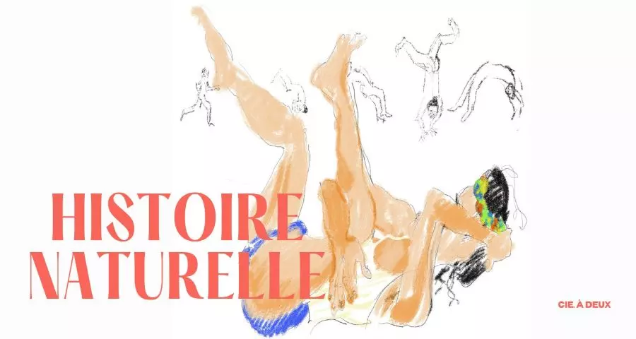 Histoire Naturelle: Danza acrobatica sotto le stelle al Parco della Musica