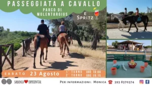 Passeggiata a Cavallo a Molentargius + Spritz: Un'esperienza unica nel cuore della natura