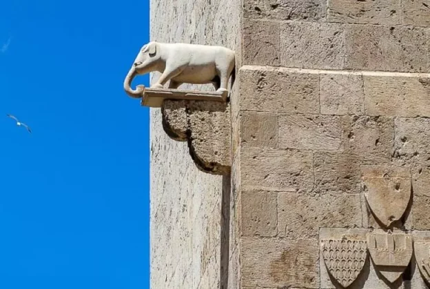 Torre dell'elefante curiosità