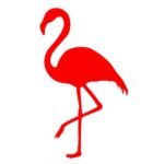 piergiorgiocarlinigmail-com